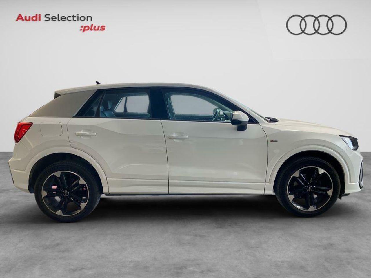 audi q2 2022 / foto grande (3)