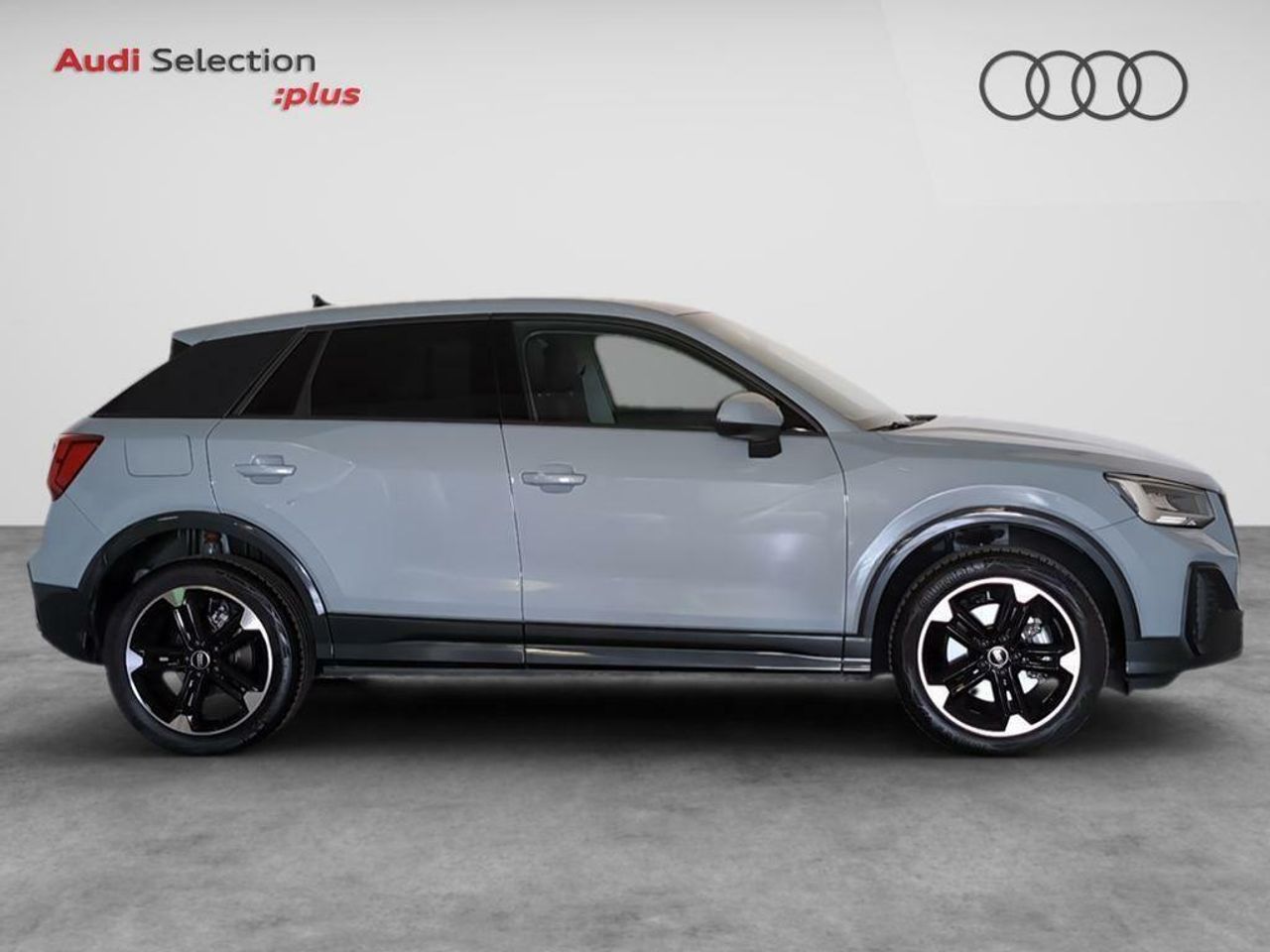 audi q2 2024 / foto grande (3)