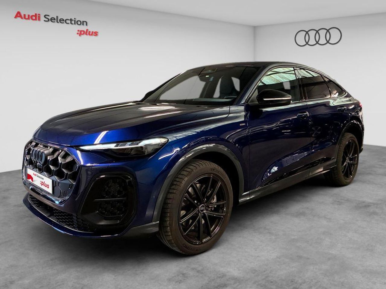 Brugt Audi Q5 2.0