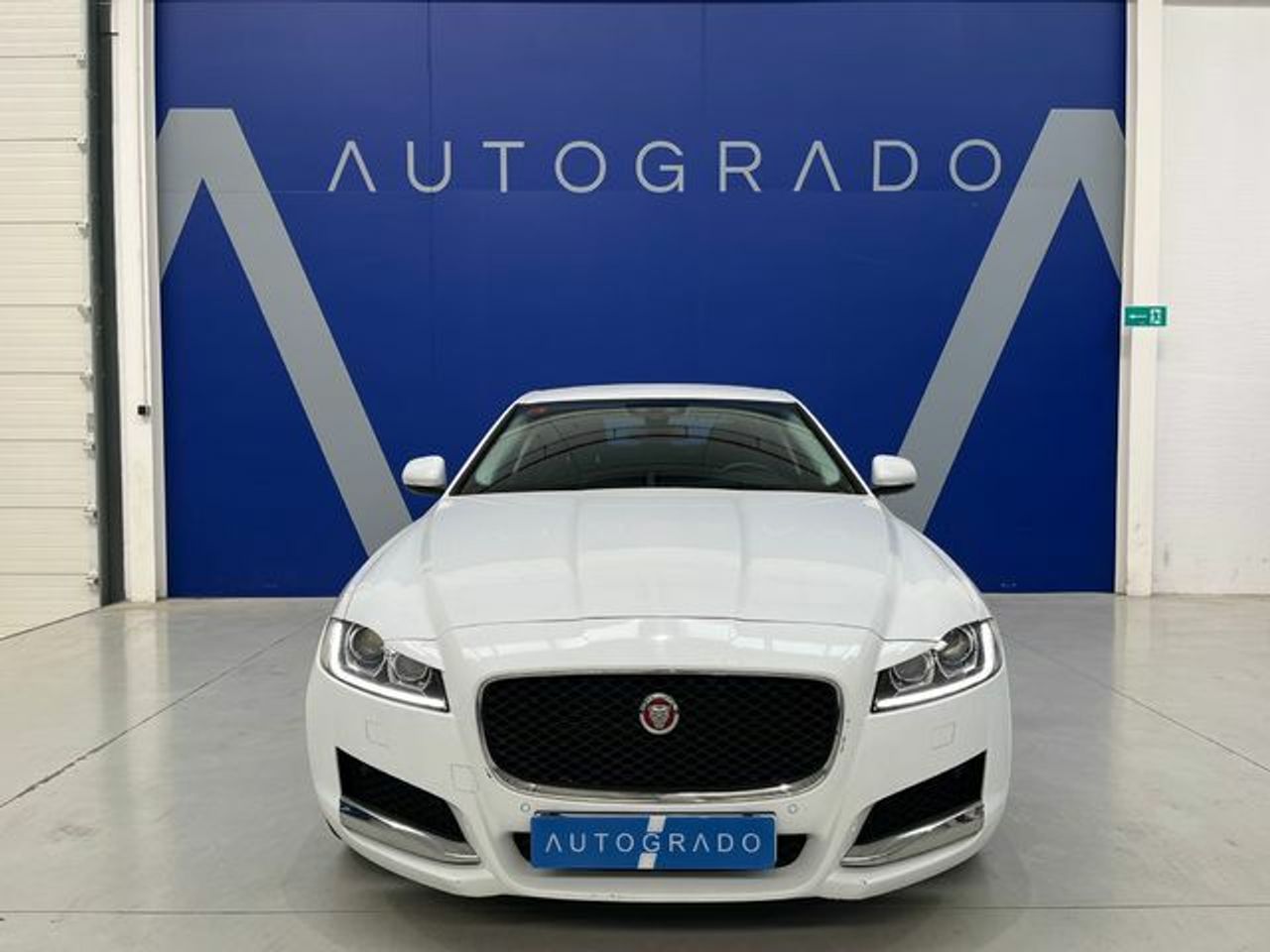 jaguar xf 2016 / foto grande (3)