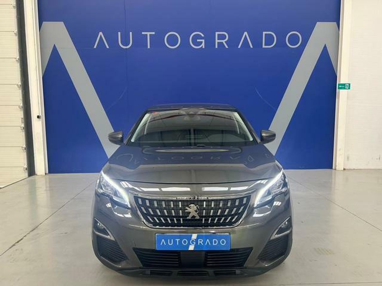 peugeot 3008 2019 / foto grande (3)