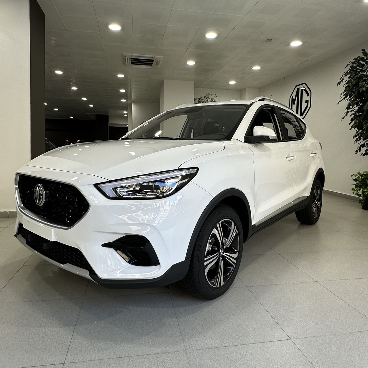 Pais  de segunda mano - mg zs 2024 /