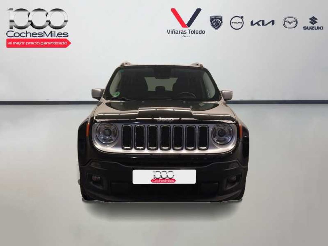 jeep renegade 2015 / foto grande (3)