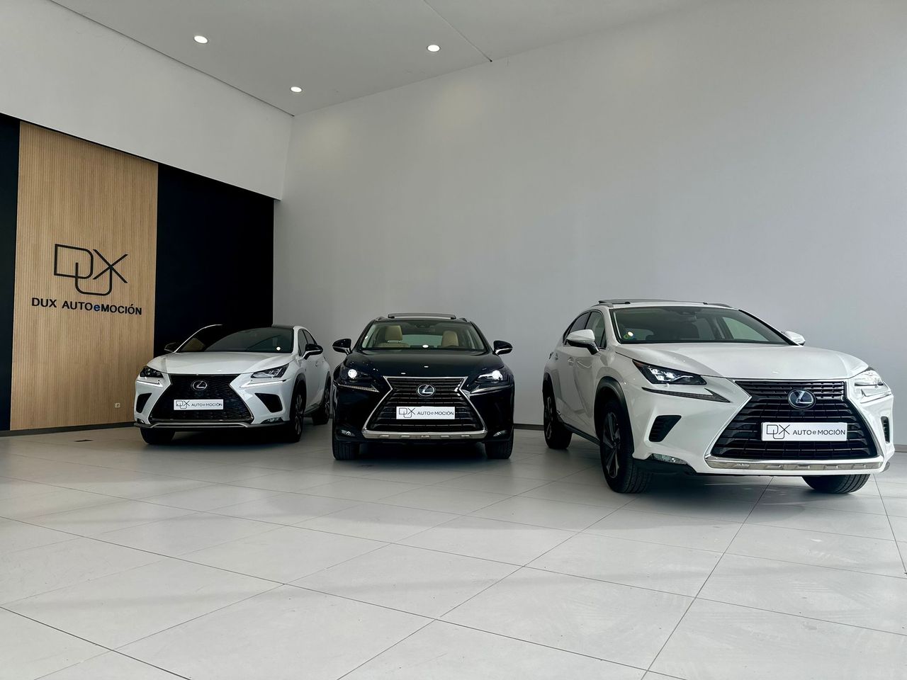 lexus nx 2020 / foto grande (3)