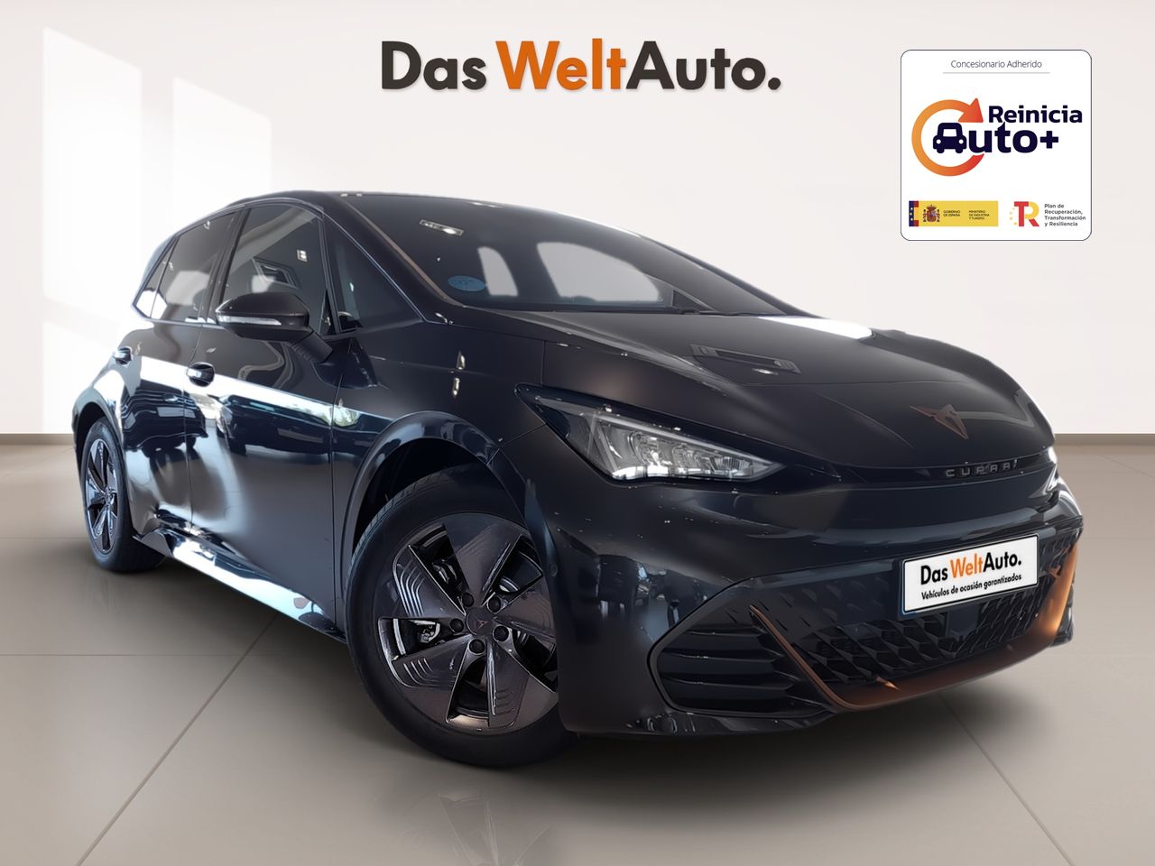 cupra born 2024 /