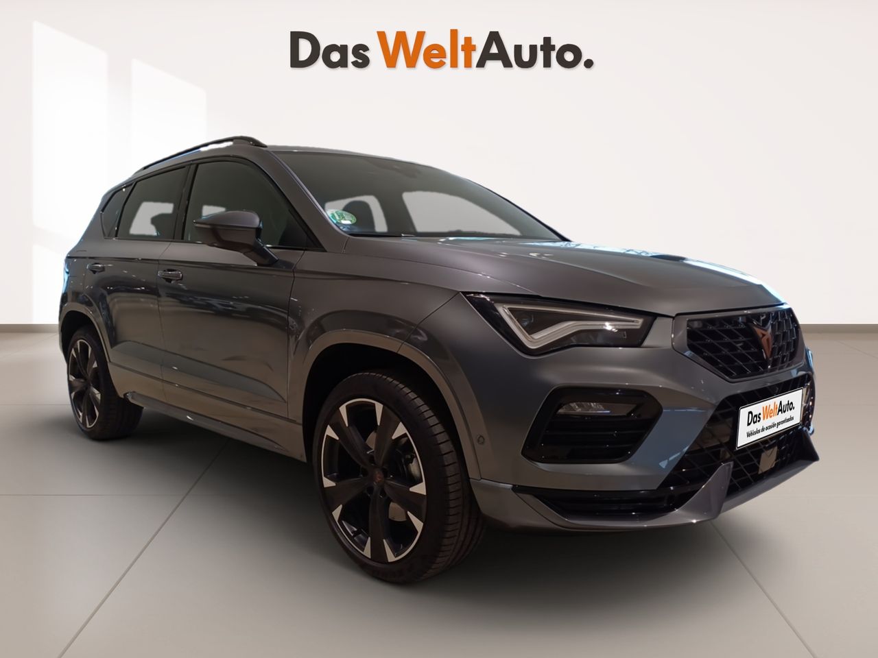 Peugeot 108 radio multimedia  de segunda mano - cupra ateca 2024 /