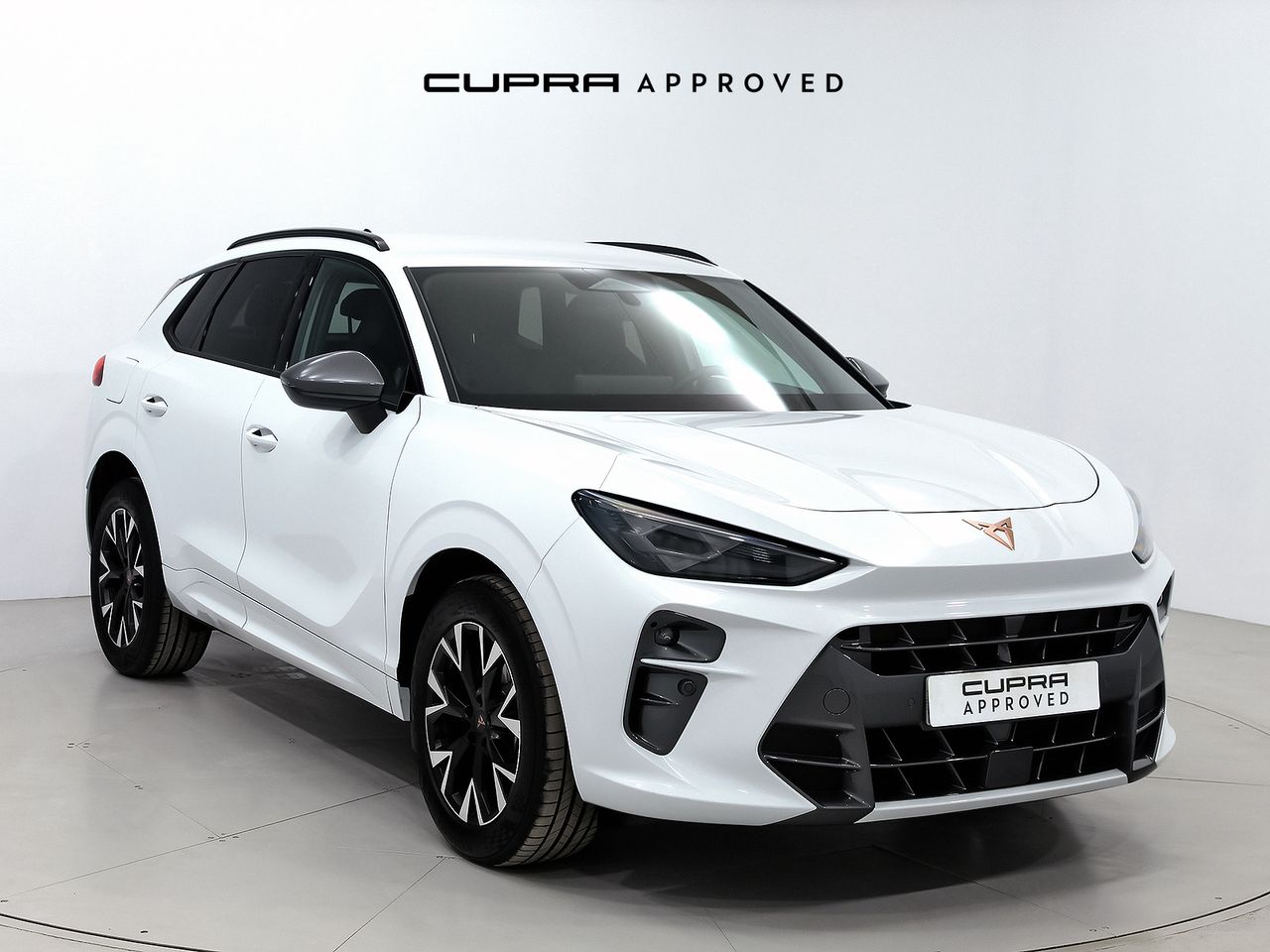 Foto cupra terramar 2024 /