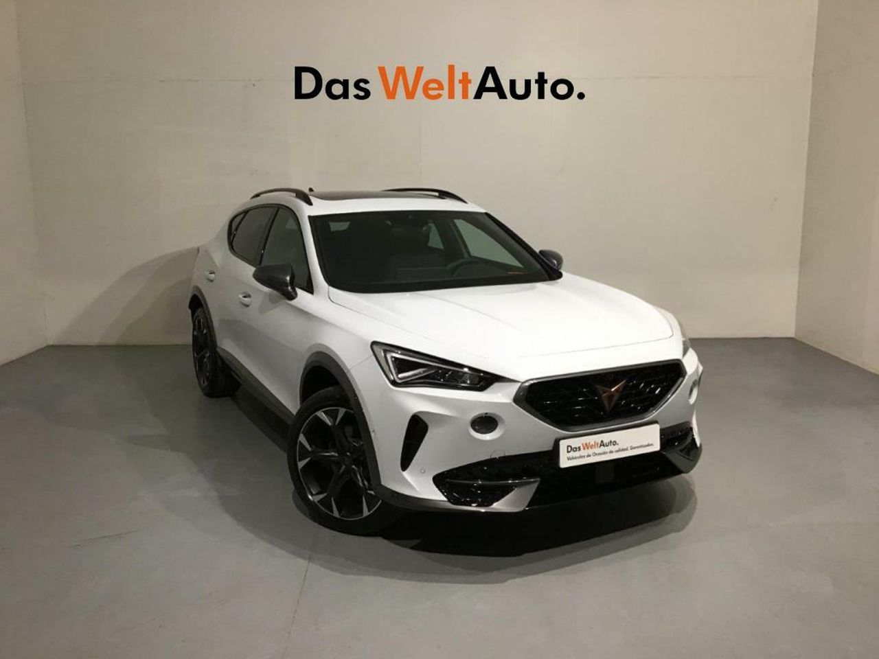 cupra formentor 2023 /