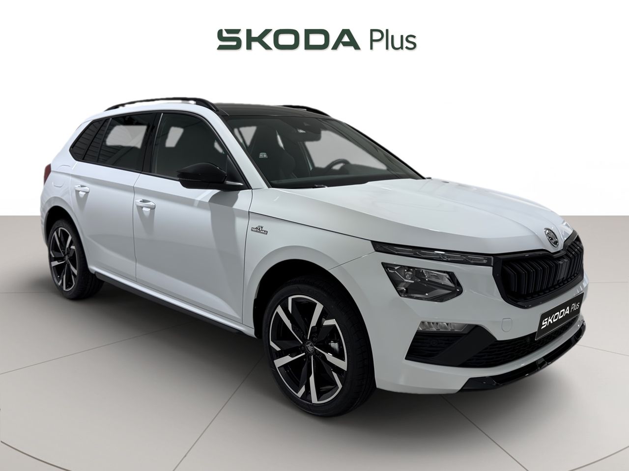 Foto skoda kamiq 2025 /