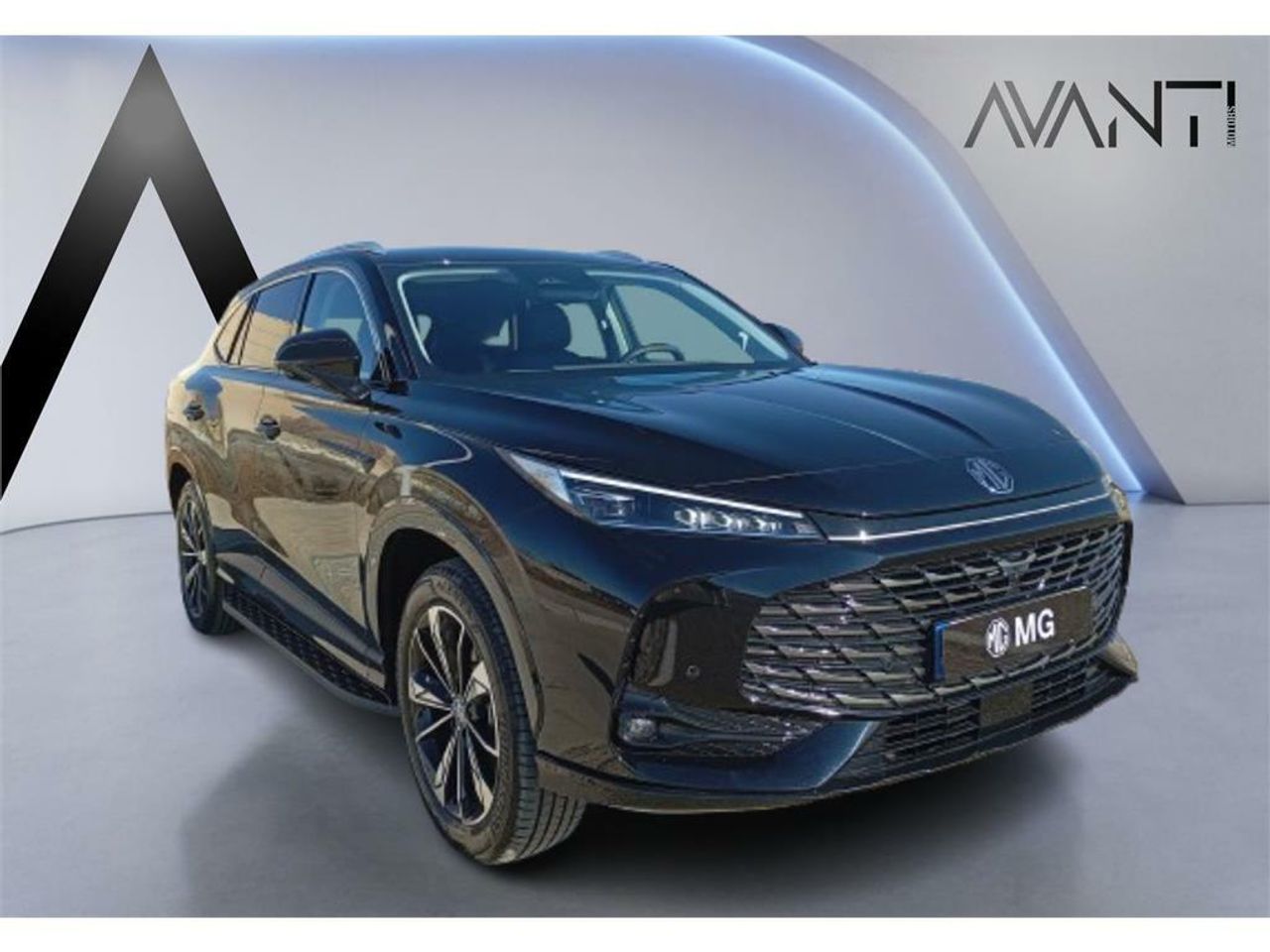 mg ehs 2025 / foto grande (3)