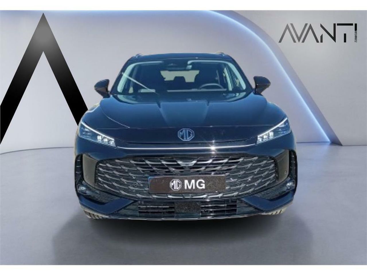 mg ehs 2025 / foto grande (2)