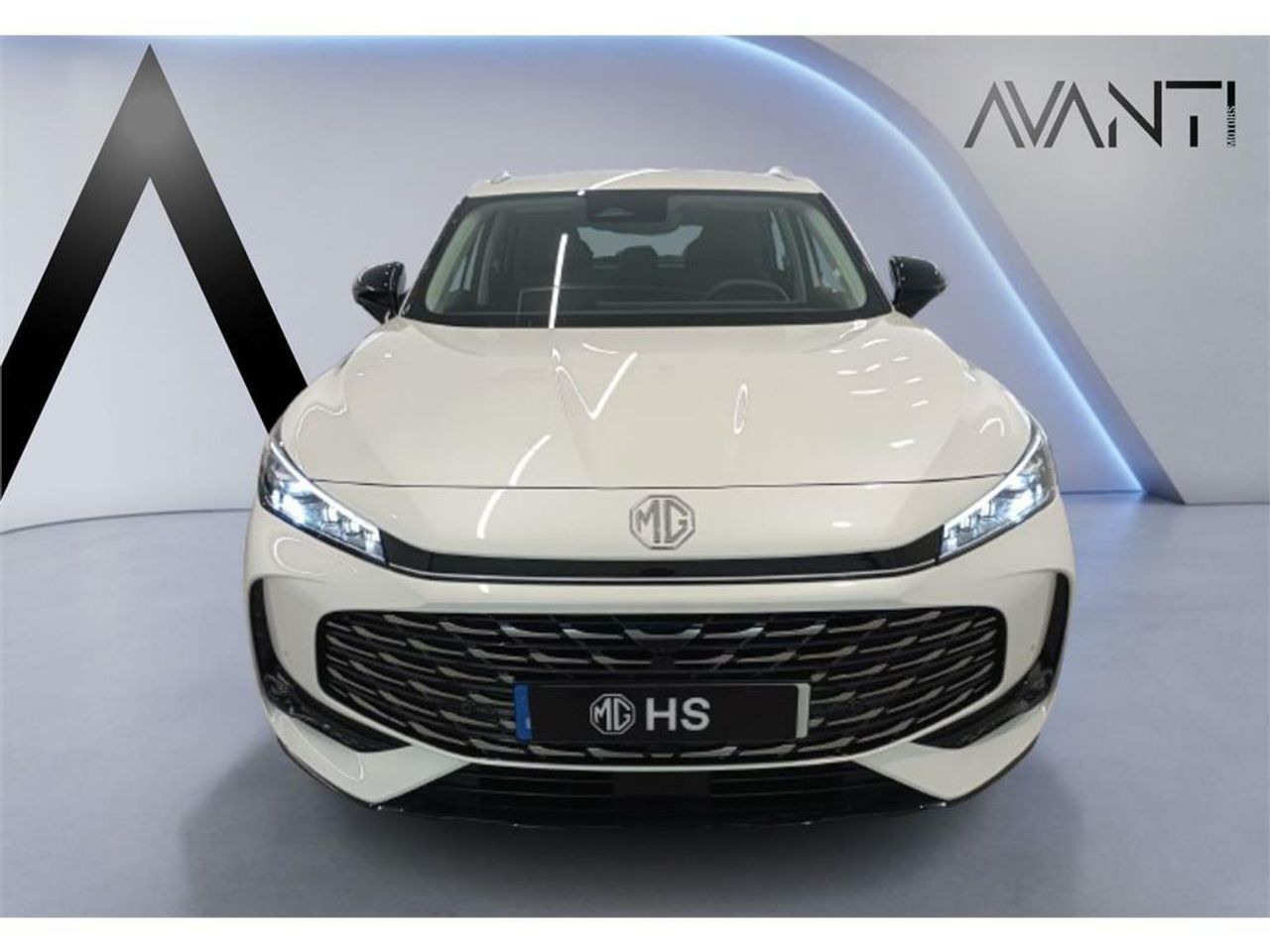 mg ehs 2025 / foto grande (2)