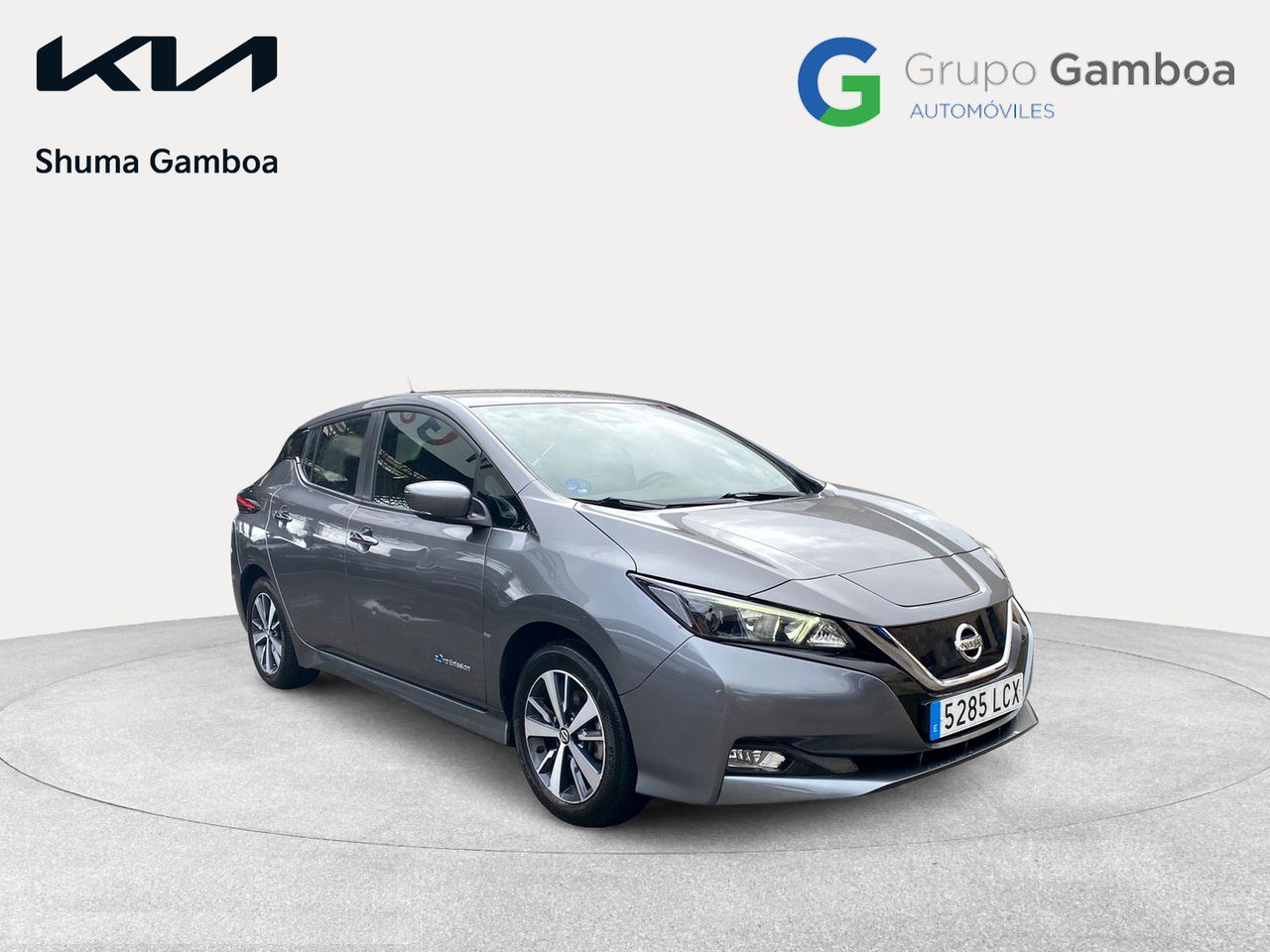 nissan leaf 2019 / foto grande (3)