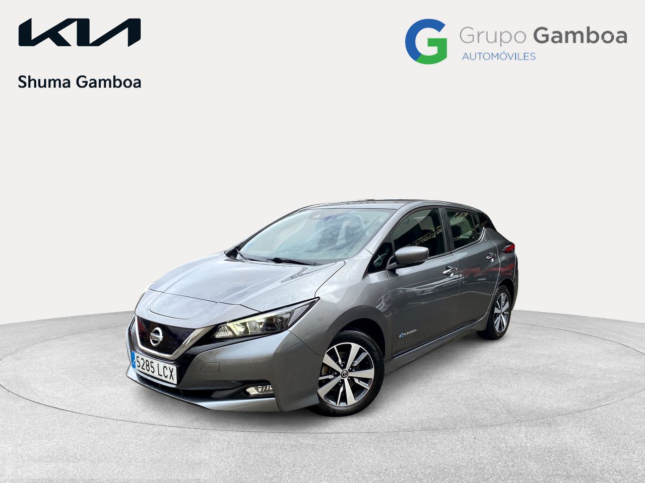 Foto nissan leaf 2019 /