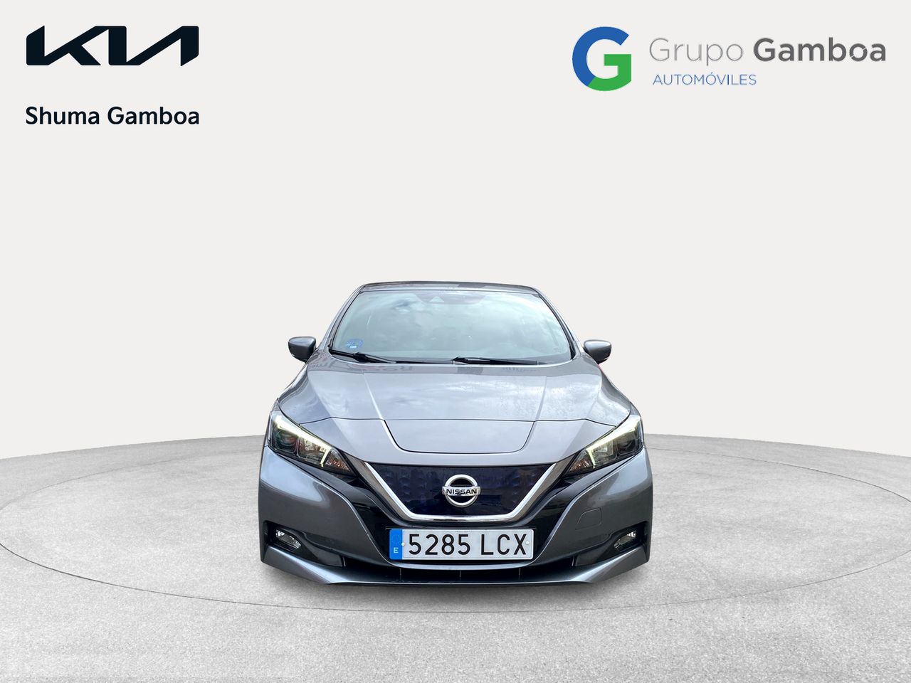 nissan leaf 2019 / foto grande (2)