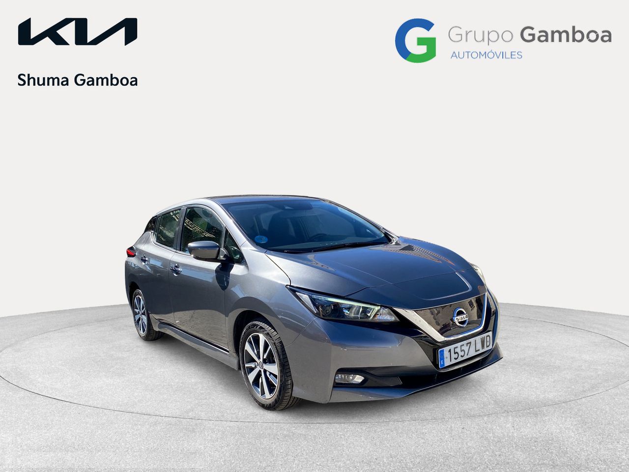 nissan leaf 2022 / foto grande (3)