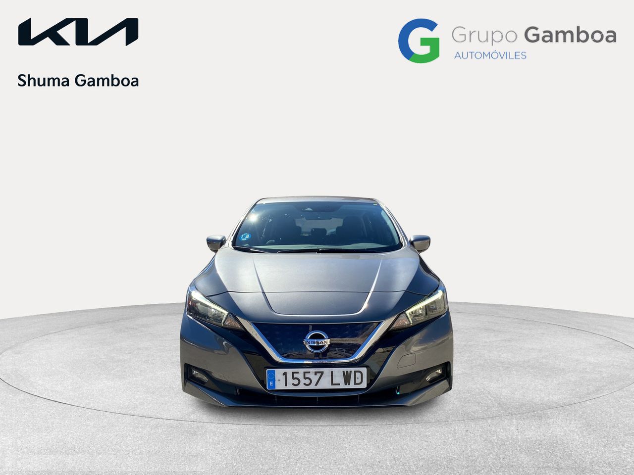 nissan leaf 2022 / foto grande (2)