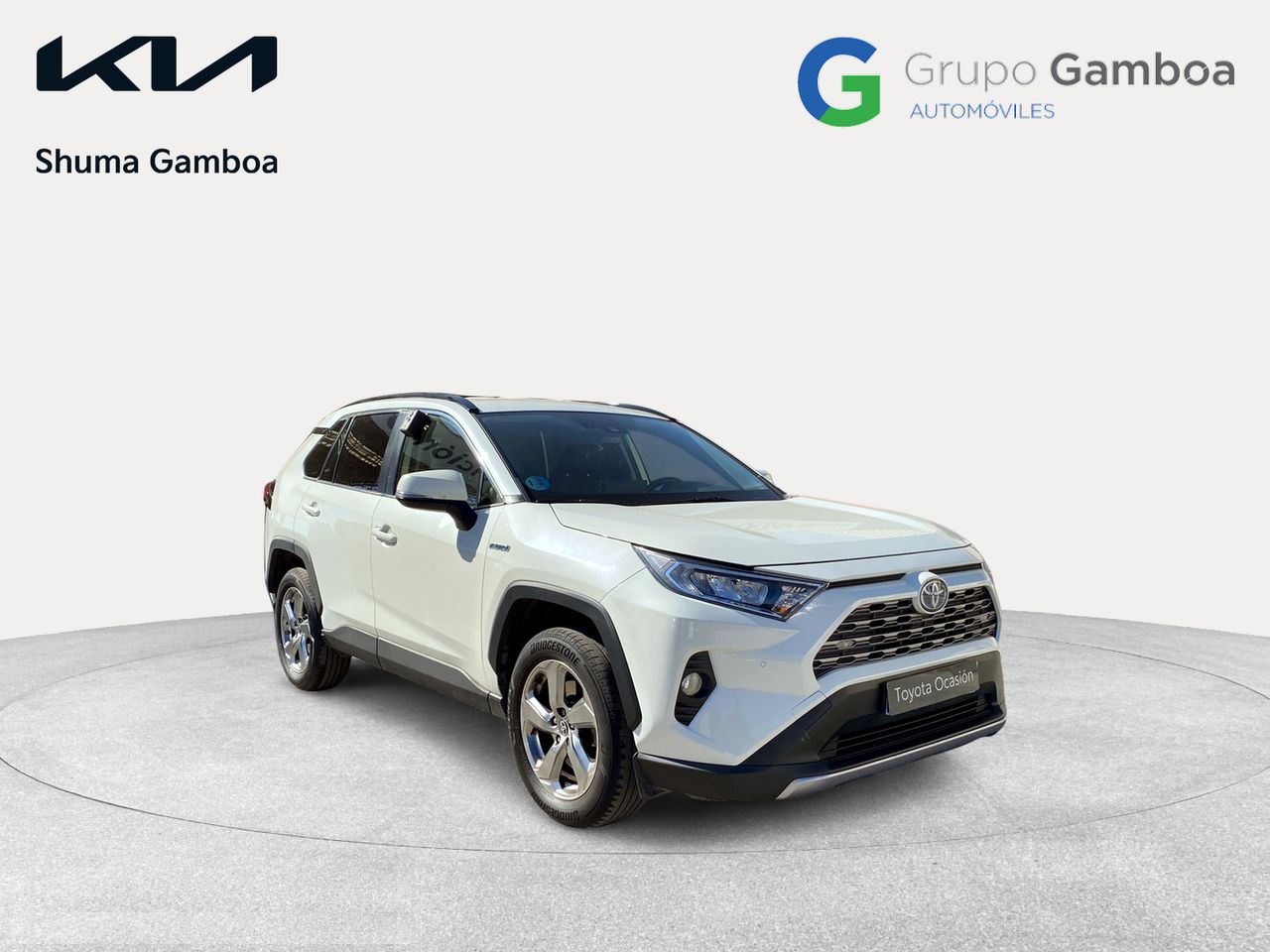toyota rav4 2021 / foto grande (3)