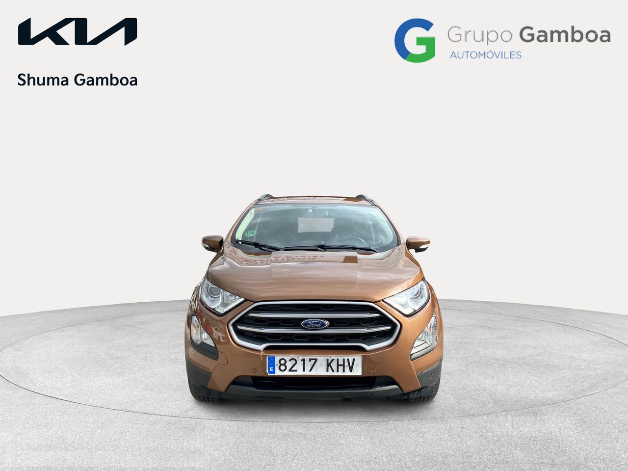 ford ecosport 2018 / foto grande (2)