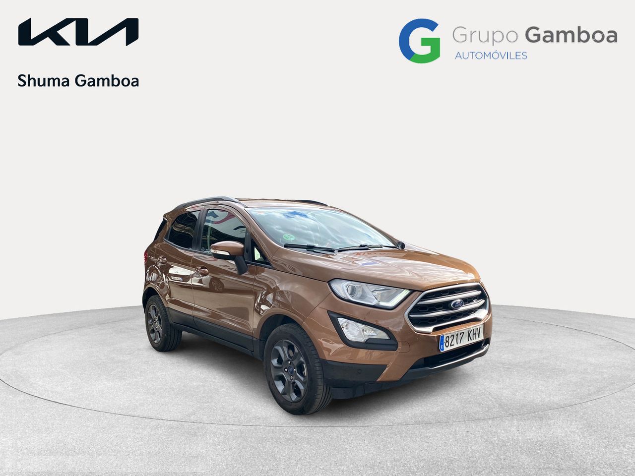 ford ecosport 2018 / foto grande (3)
