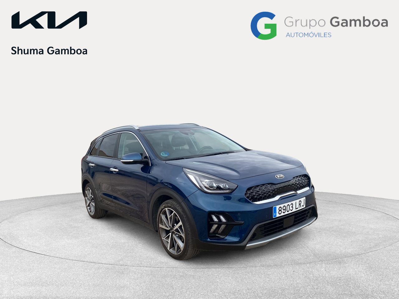 kia niro 2021 / foto grande (3)