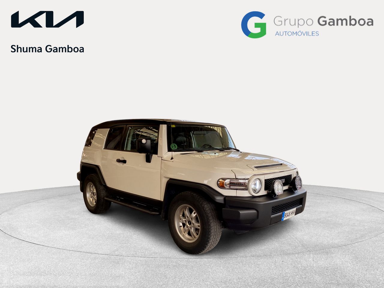 toyota fj cruiser 2010 / foto grande (3)