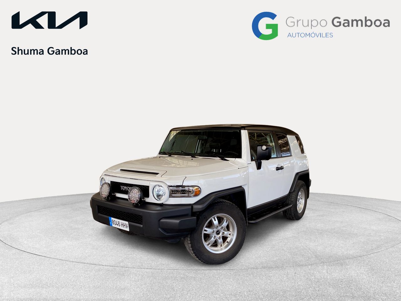 Foto toyota fj cruiser 2010 /