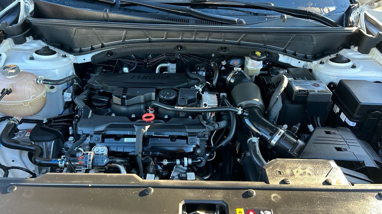 Hyundai Tucson 1.6 TGDI MHEV 110KW MAXX 150 5P - foto 13