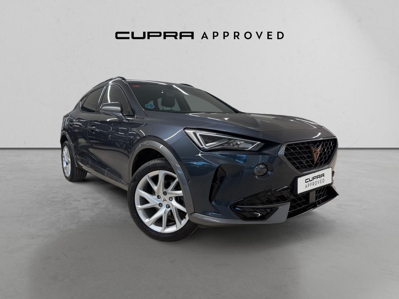 Spannende Cupra Formentor 15 Tsi 110kw Fotos