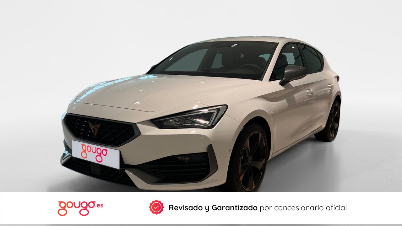 Loro en perfecto estado de salud  - cupra león 2024 /