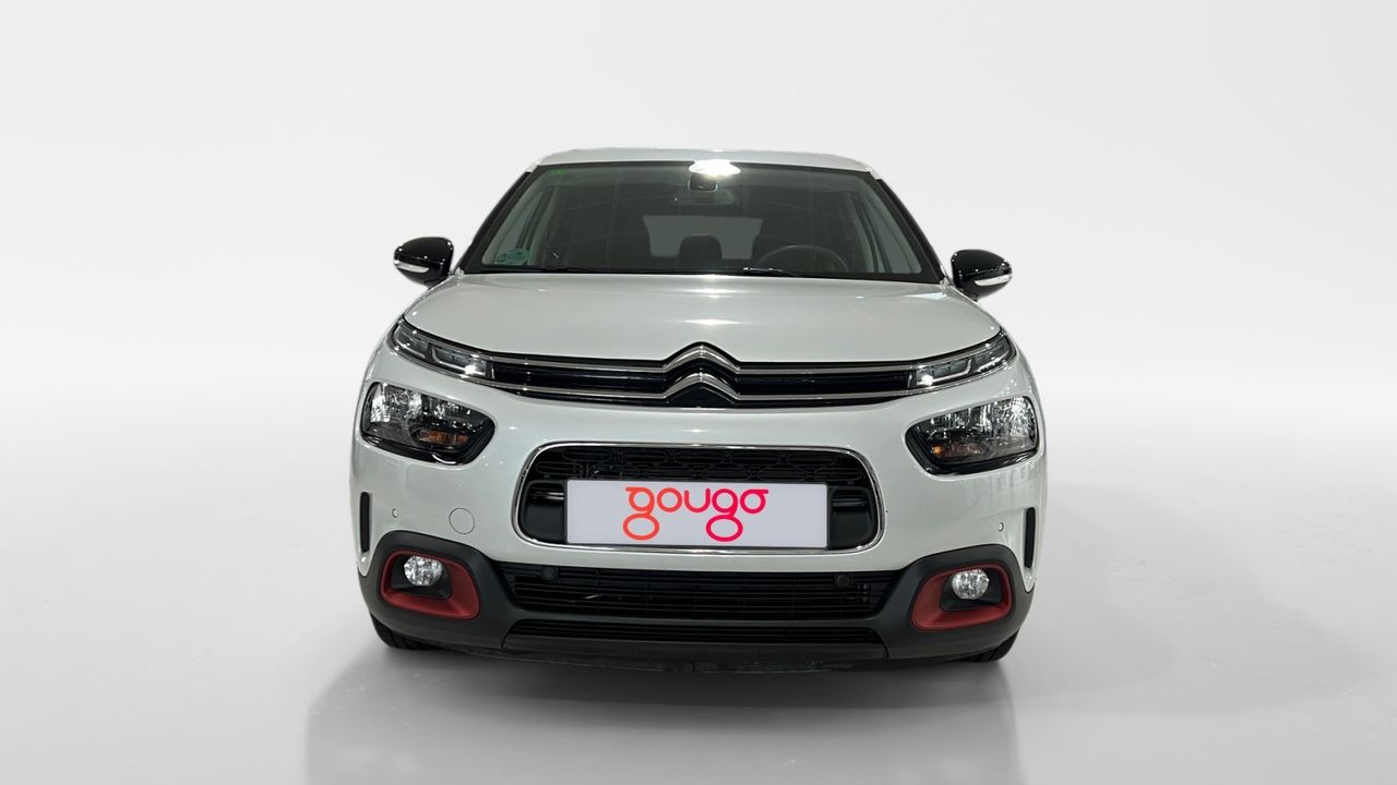 citroën c4 cactus 2019 / foto grande (2)