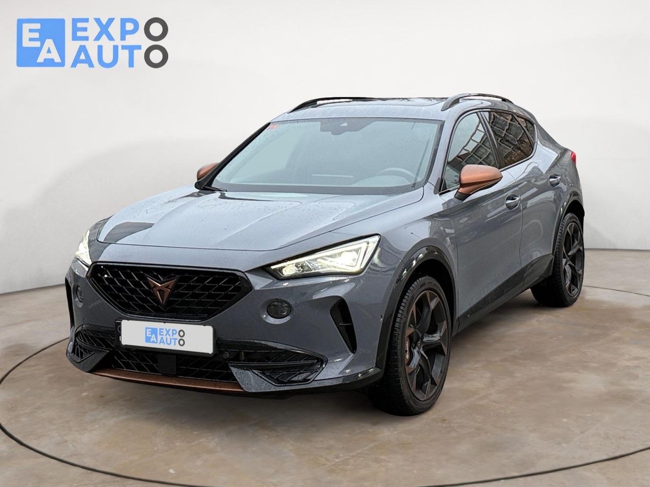 Cupra Formentor 2.0 TSI 228kW (310 CV) VZ 4Drive DSG - Foto 2