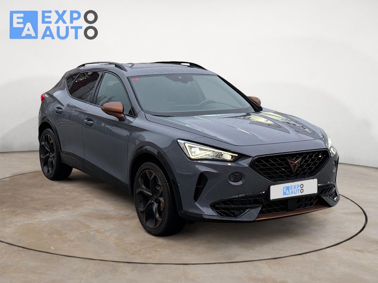 Cupra Formentor 2.0 TSI 228kW (310 CV) VZ 4Drive DSG - Foto 2