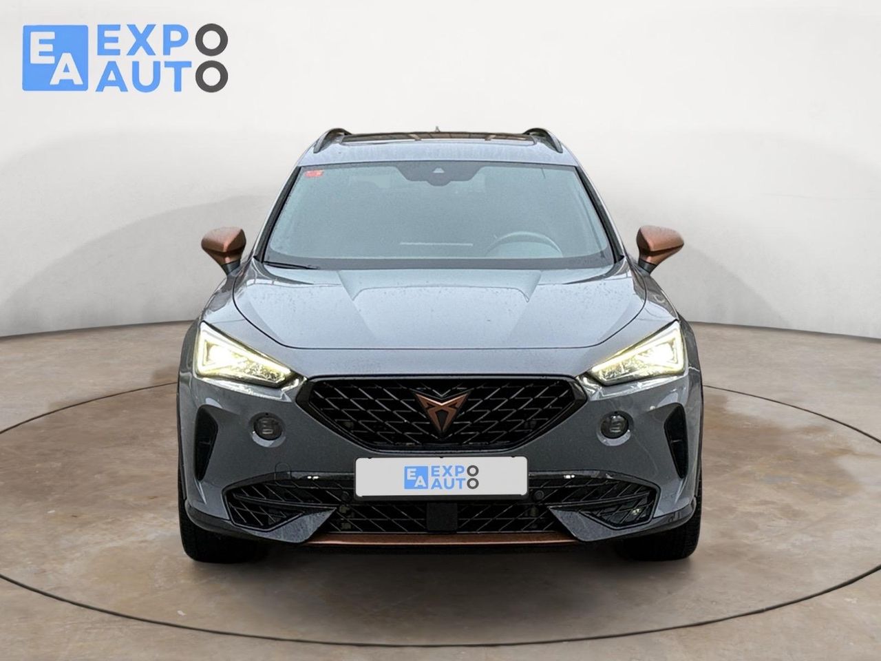 Cupra Formentor 2.0 TSI 228kW (310 CV) VZ 4Drive DSG - Foto 2