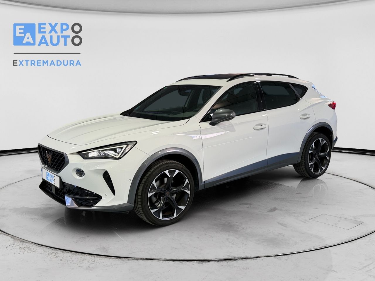 Cupra Formentor 2.0 TDI 110 kW (150 CV) - Foto 3