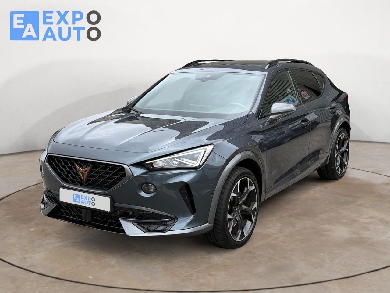 Cupra Formentor 2.0 TSI 228kW (310 CV) VZ 4Drive DSG - Foto 6