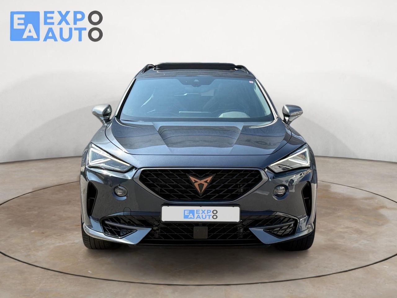 Cupra Formentor 2.0 TSI 228kW (310 CV) VZ 4Drive DSG - Foto 3