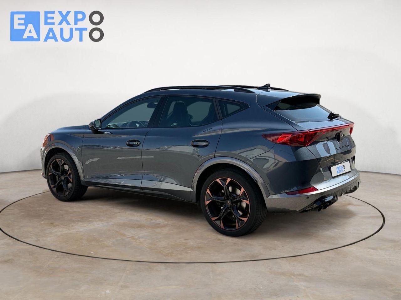 Cupra Formentor 2.0 TSI 228kW (310 CV) VZ 4Drive DSG - Foto 6