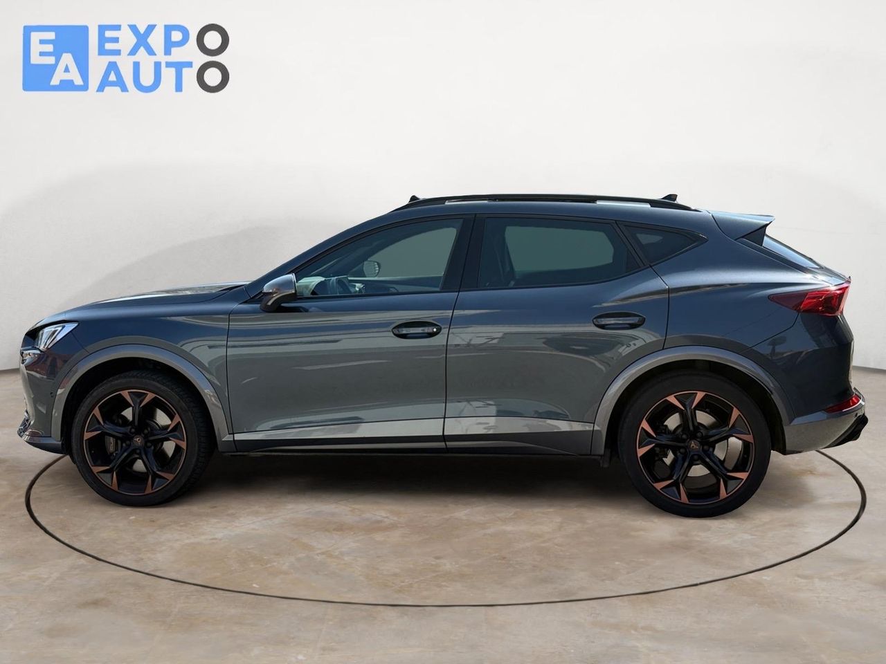 Cupra Formentor 2.0 TSI 228kW (310 CV) VZ 4Drive DSG - Foto 5