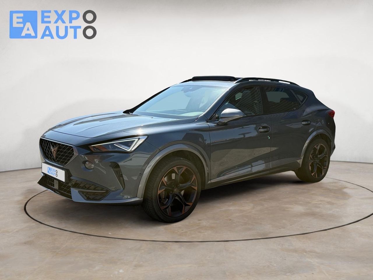 Cupra Formentor 2.0 TSI 228kW (310 CV) VZ 4Drive DSG - Foto 4
