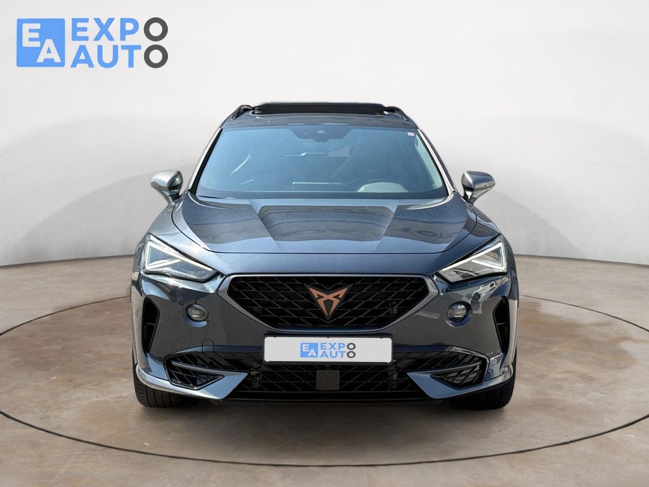 Cupra Formentor 2.0 TSI 228kW (310 CV) VZ 4Drive DSG - Foto 3