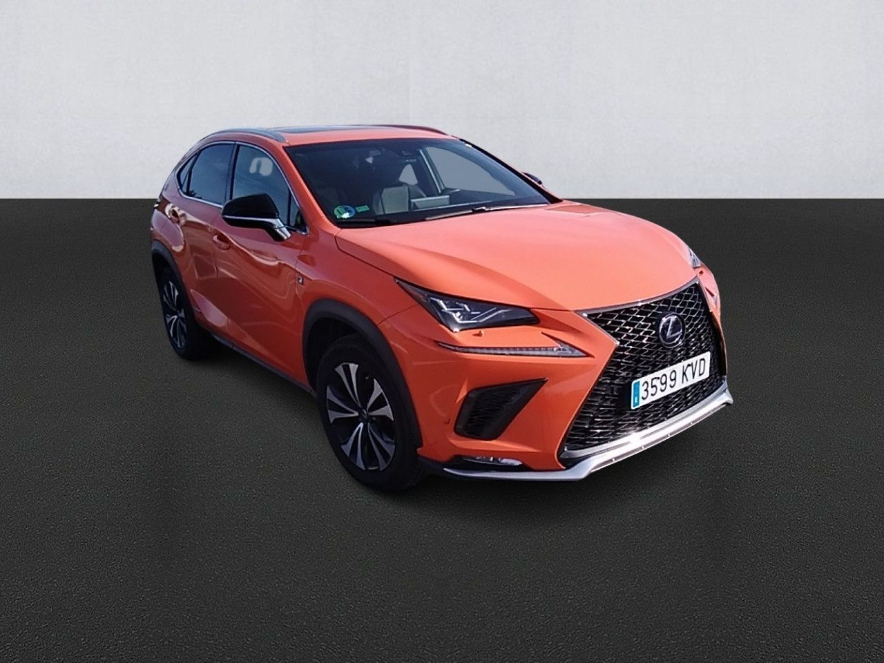 lexus nx 2019 / foto grande (3)