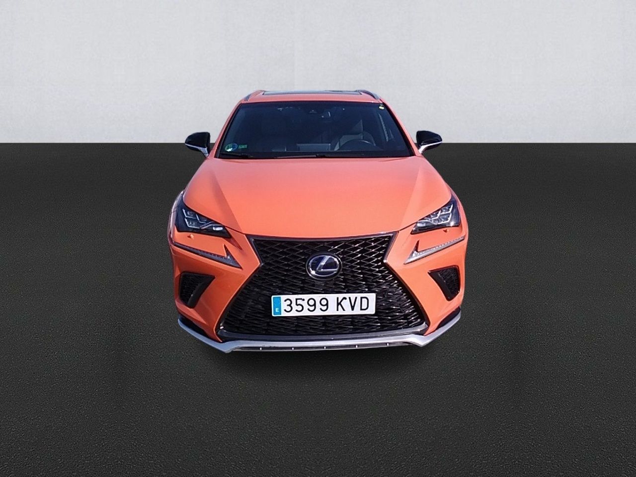 lexus nx 2019 / foto grande (2)