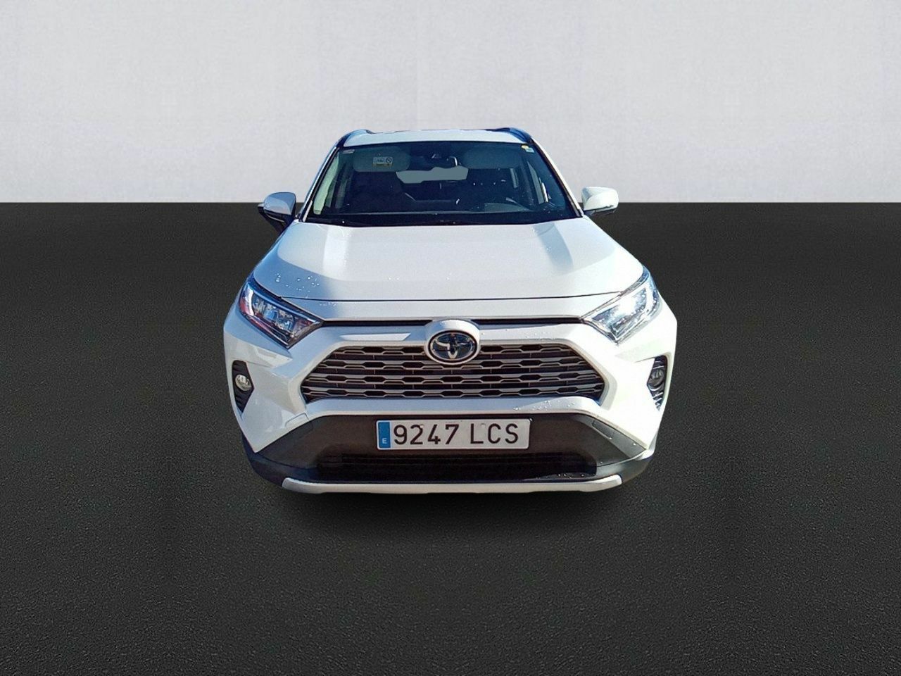 toyota rav4 2019 / foto grande (2)