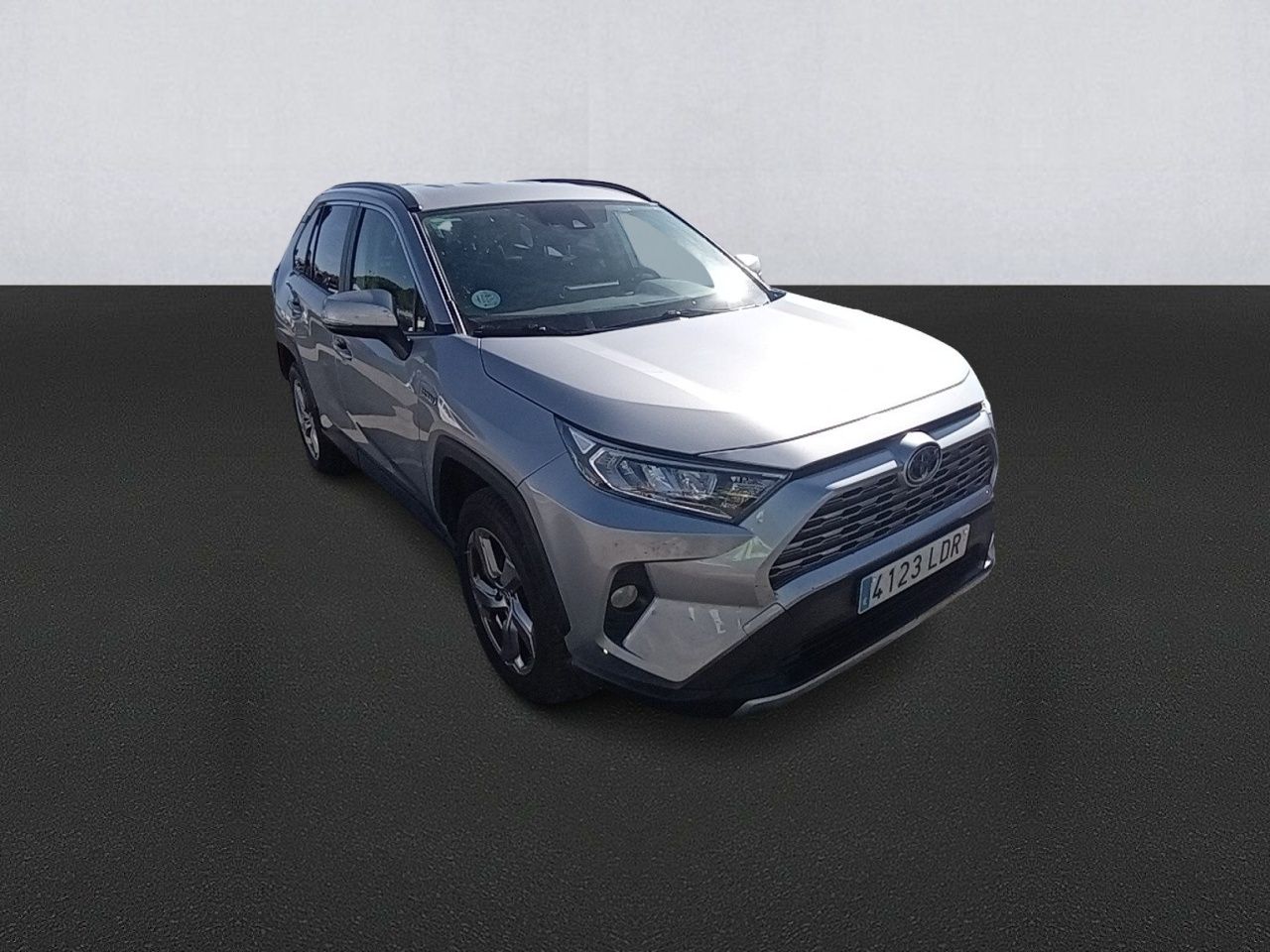 toyota rav4 2019 / foto grande (3)
