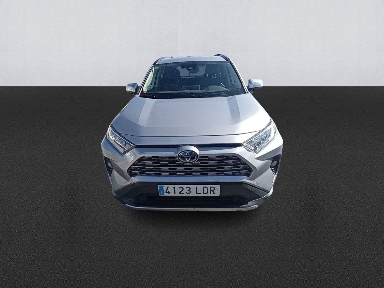 toyota rav4 2019 / foto grande (2)