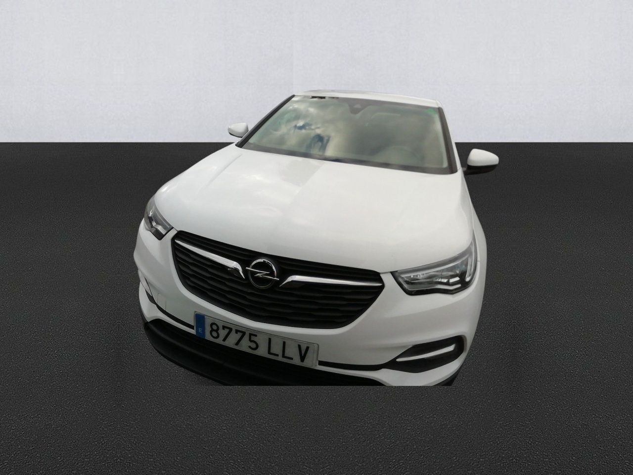 opel grandland x 2020 / foto grande (2)