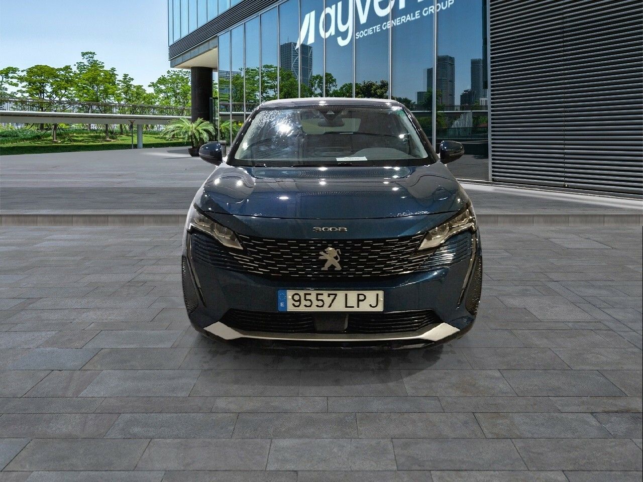 peugeot 3008 2021 / foto grande (2)