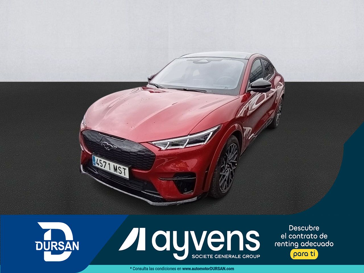 Foto ford mustang 2024 /
