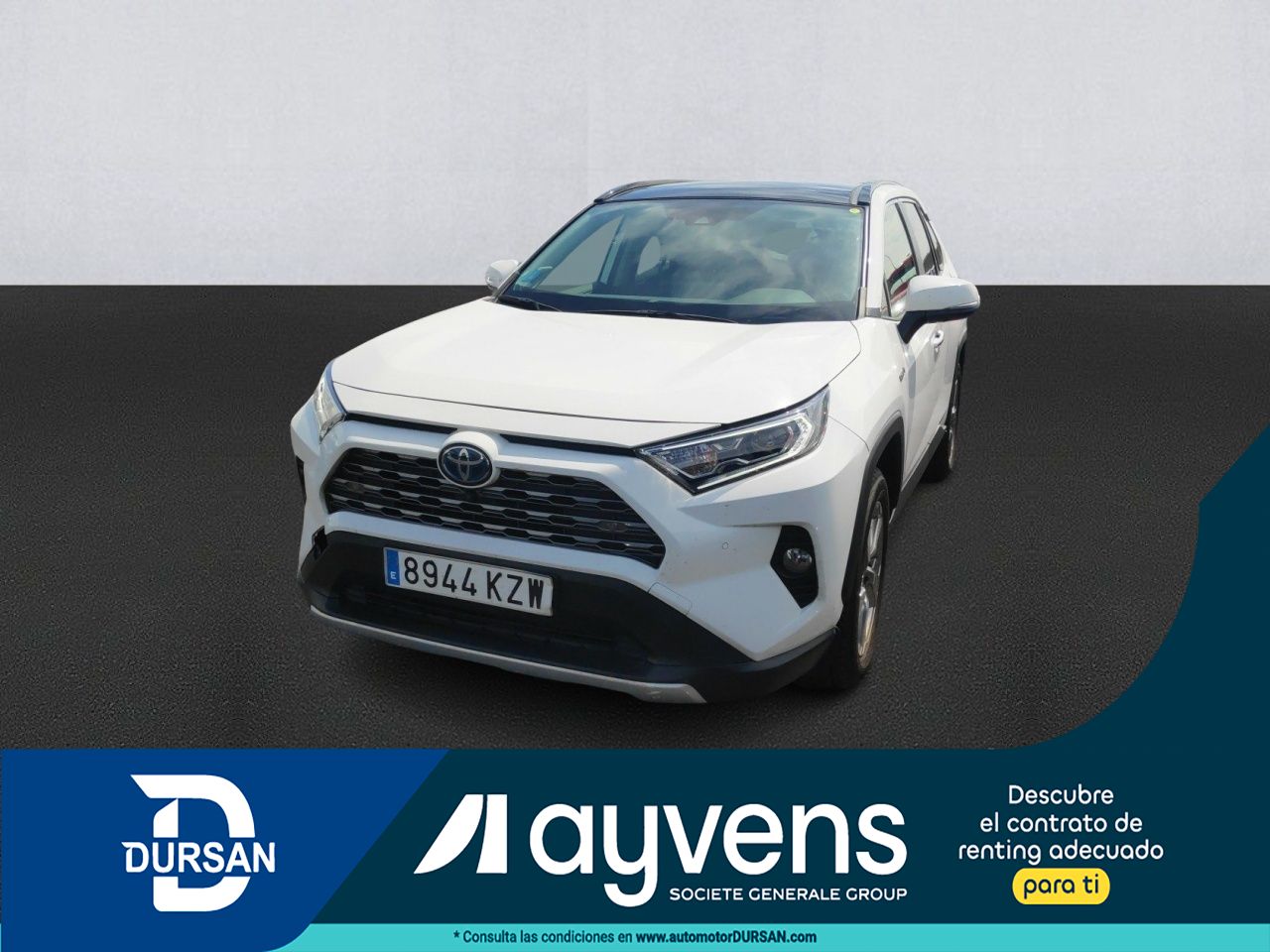 toyota rav4 2019 /